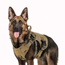 Tigela Dupla para Gatos e Cães – Comedouro com Bebedouro Automático para Água e Ração