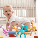GiraFlex Brinquedo Estica e Gruda – Brinquedo Mágico para Crianças, Diversão e Criatividade Garantida