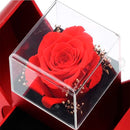 Colar Eterno Amor Feminino com Embalagem de Presente – Joia Romântica para Datas Especiais