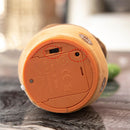 Cacto de Pelúcia Interativo para Crianças – Dança, Toca Música e Repete a Fala