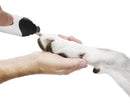 LoPetz™ Pet Nail Trimmer – Rechargeable, Safe, and Painless Nail File for Your Pet 