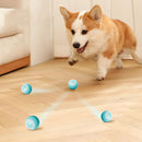 Bola Inteligente USB para Pets – Rotação Automática 360° e Recarga via Cabo
