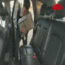 capa para banco de carro para pets